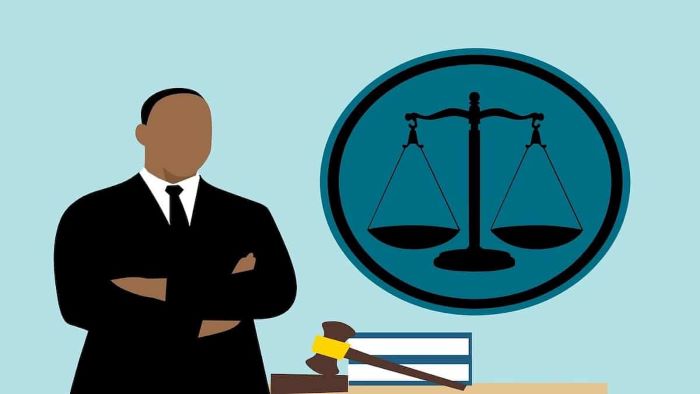 The Role of AVO Defense Lawyers in Legal Proceedings